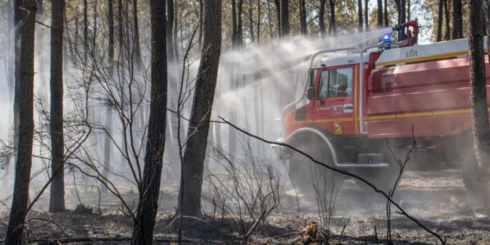 Équipes du SDIS mobilisées sur le terrain pour contenir la propagation d’un feu de forêt - Crédits photo : Photos sapeurs-pompiers de la Dordogne