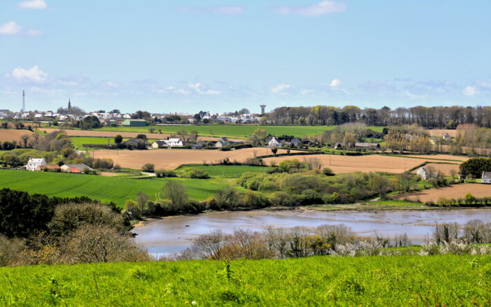 Des essais comparent des stratégies de désherbage « Tout chimique », « Tout mécanique » et des stratégies mixtes ont été mis en place avec l’appui de la Chambre d’Agriculture de Bretagne - Crédits photo : Banque des Territoires