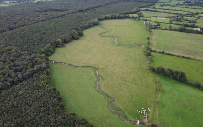 Une partie du cours d’eau est située en limite de la forêt de Bourse. - Crédits photo : SBHS.