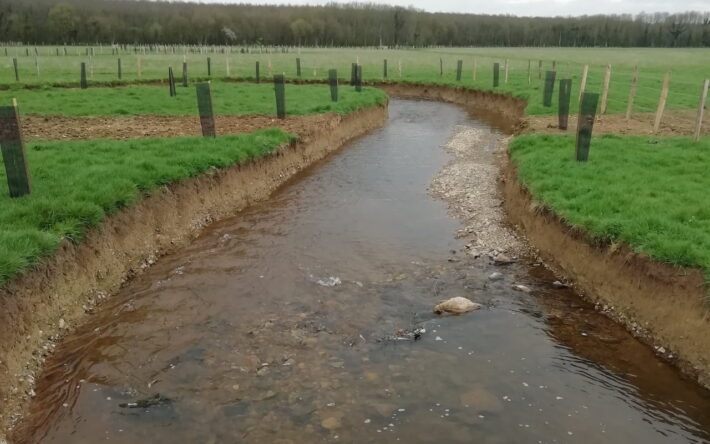 Après les travaux, des clôtures ont été posées pour protéger le cours d’eau des pâturages.
- Crédits photo : SBHS.