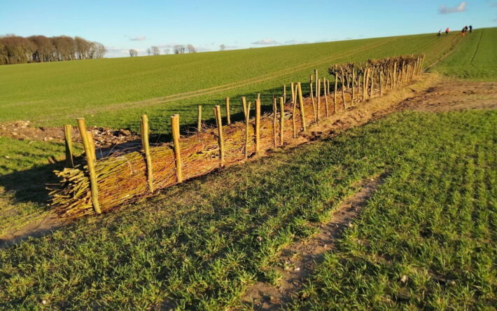 Une fascine est un dispositif « d'hydraulique douce » constituée de fagots de bois superposés, fixés au sol entre deux rangées de pieux. – Crédit photo : Grand Calais Terres & Mers