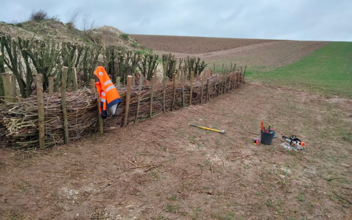 A Escalles, village qui n’a pas été épargné par des coulées de boue, ces fascines de paille entourées de piquet, servent de peignes filtrant la terre pour éviter que les sols s'appauvrissent - Crédit photo : Grand Calais Terres & Mers