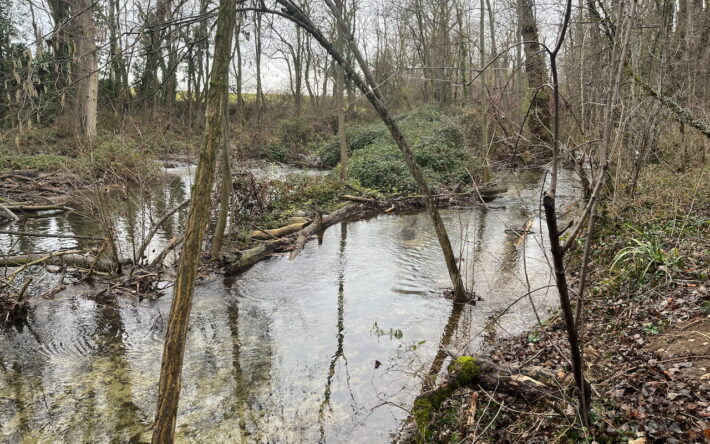 La rivière ici a rouvert un « chenal fantôme ». Ces écoulements secondaires vont permettre à l’eau de s’étaler, à la rivière de bouger, et préserver la continuité écologique, lorsque les modules sont installés en travers du lit – Crédit photo : Banque des Territoires