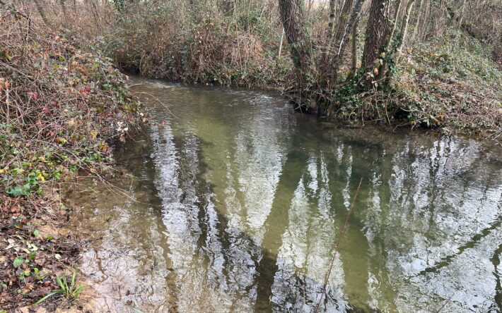 La Lierne, avant qu’elle ne rejoigne la Véore. « Pour cette partie très incisée, nous allons tester la technique du « Mikado », qui consiste à faire tomber des arbres dans la rivière, sur une centaine de mètres. – Crédit photo : Banque des Territoires