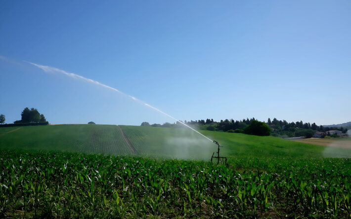 L’eau épurée ne peut être utilisée que pour l’arrosage par aspersion des céréales. - Crédits photo : Banque des Territoires