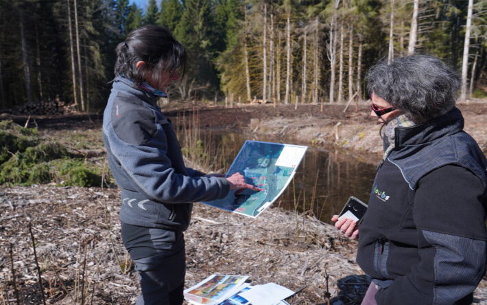 Les accès aux fossés ont été déboisés. Certains ouvrages ont été renforcés par des armatures en madriers de bois ou en palplanches métalliques. Crédits photo : Emmanuelle VERGON-Tripard