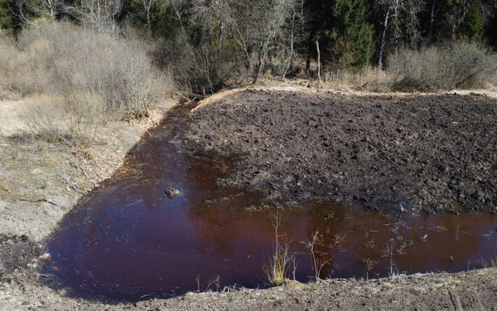 Le bouchon installé dans le canal périphérique repousse l’eau dans le canal principal creusé en 1965, lui-même bouché en partie amont, ce qui oblige l’eau à s'étendre dans la tourbière.  Crédits photo : Emmanuelle VERGON-Tripard