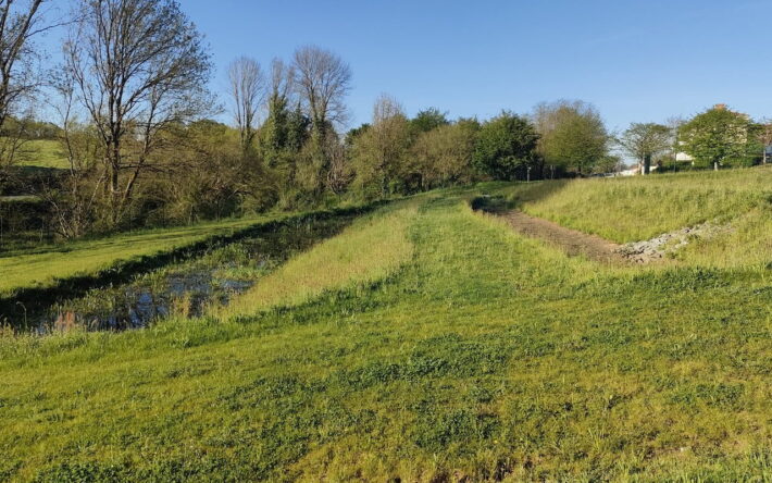 Étape 3. En été, pour éviter le rejet dans un ruisseau à trop faible débit, les eaux traitées rejoignent une zone d’infiltration constituée de larges fossés plantés de végétaux - Crédits photo : Banque des Territoires