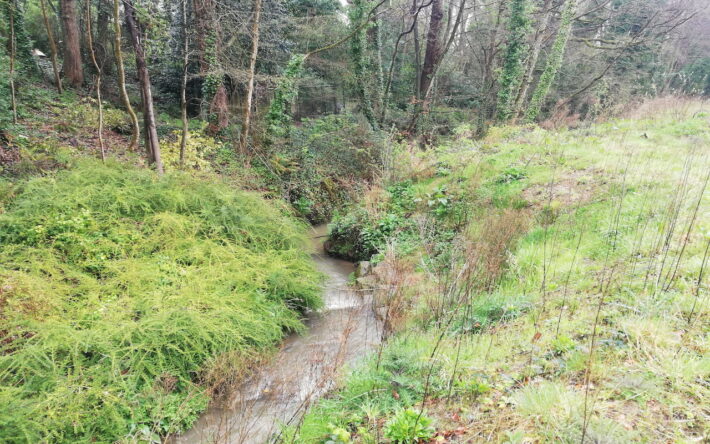 Les berges de la Couaille ont été remodelées pour former une pente plus douce et ainsi favoriser la biodiversité. - Crédits photo : Joëlle Bizeau