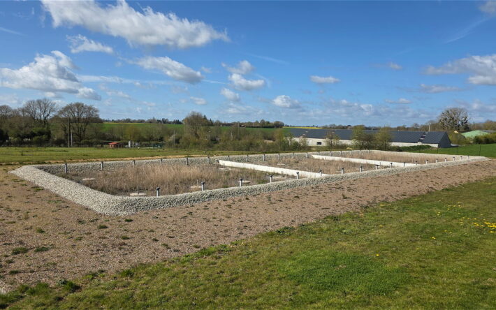 Le traitement des eaux usées passe par une filtration assurée par une plantation de roseaux - Crédits photo : Banque des Territoires