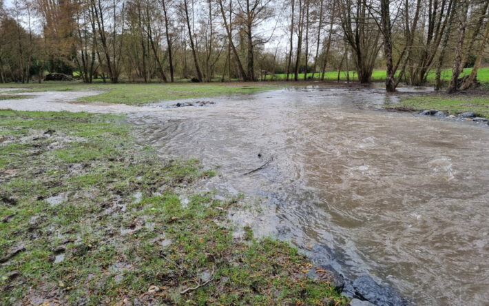 Lors des crues de février 2026, le Couasnon a débordé sur l’ancien lit et la zone humide attenante, qui a joué pleinement son rôle de zone de débordement. - Crédits photo : SMBAA.