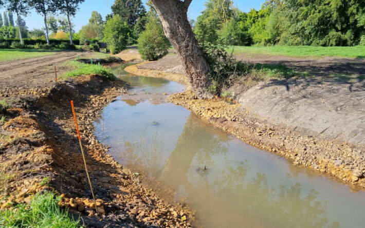 La diversification du lit de la rivière permet de varier les habitats et les vitesses d’écoulement du Couasnon. - Crédits photo : SMBAA.