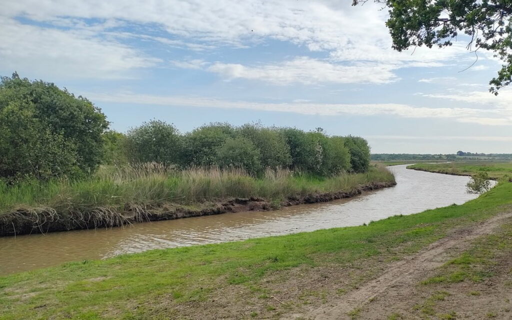 Au Sud-Estuaire (44), se réapproprier le marais pour atténuer les effets du changement climatique
