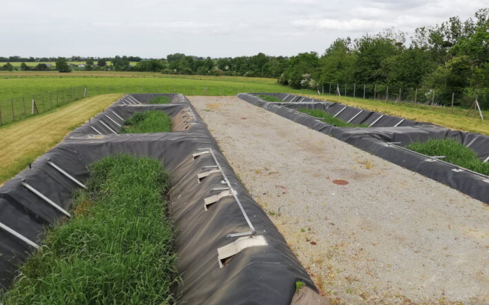 Des lits à macrophytes permettent de filtrer et de dépolluer les boues - Crédit photo : Joëlle Bizeau