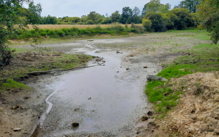 Le plan d’eau a été vidangé en juin 2024 après une pêche de sauvetage. - Crédits photo : SCDI