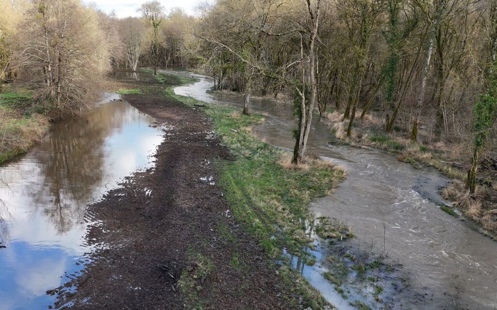 Au cœur du bassin du Lathan (49), une restauration écologique ambitieuse sur 12 km