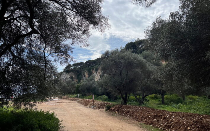 Historiquement, la parcelle était constituée de roches. Le lieu a été exploité en carrière jusqu’en 1899 et a servi à construire les jetées du port de Monaco. Aujourd’hui, le site abrite une biodiversité exceptionnelle. - Crédits photo : Banque des Territoires