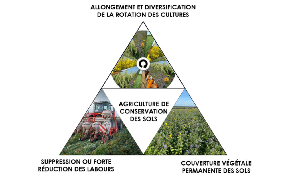 Schéma des trois piliers de l'agriculture de conservation des sols (ACS)