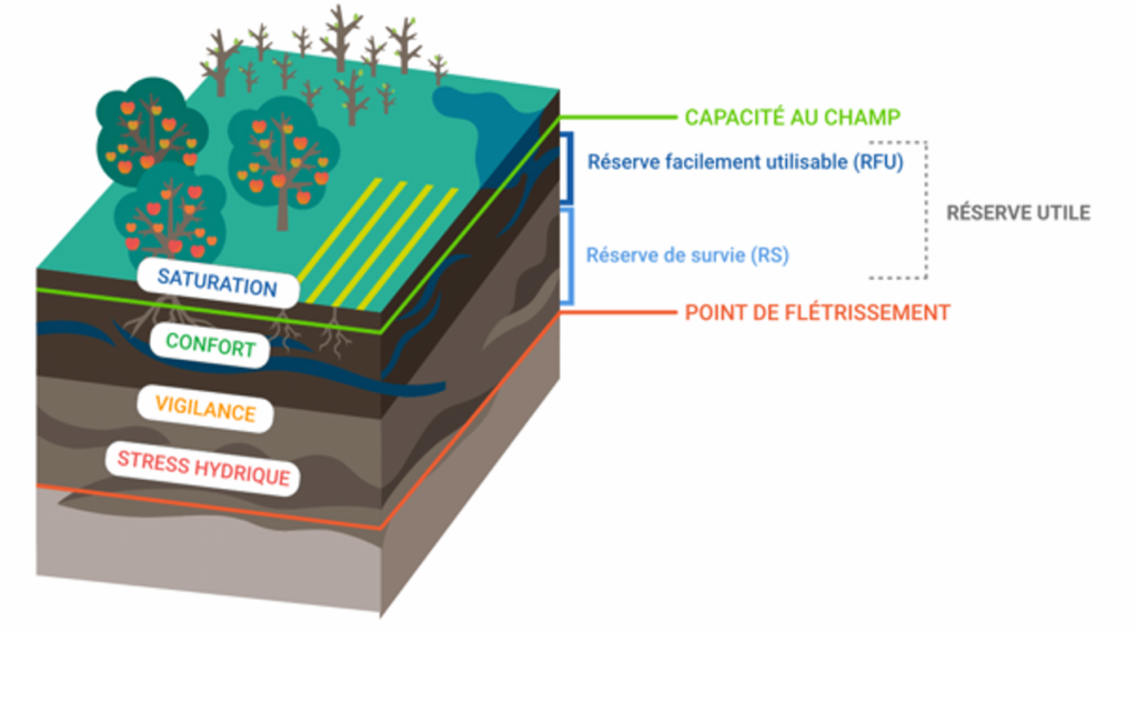 Schéma repésentant la capacité au champ