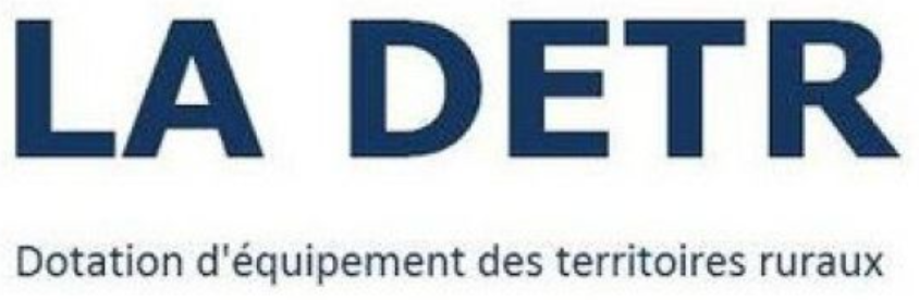 logo-DETR